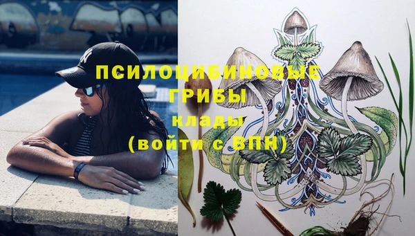 прущие грибы Алзамай