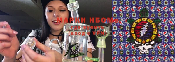прущие грибы Алзамай