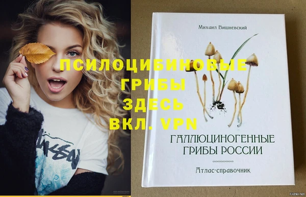 экстази Алексеевка